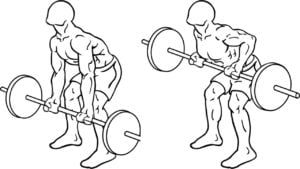 Reverse Barbell Bent Over