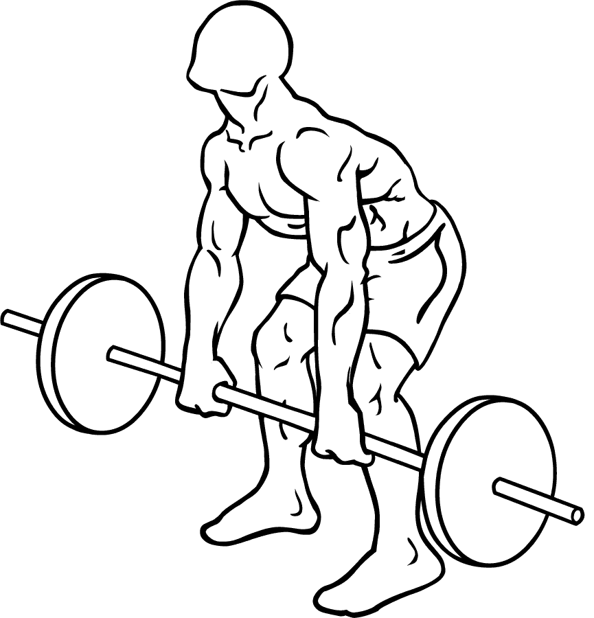 one of the best exercise is Barbell Deadlift for complete body and This free weights exercise gives major benefits to your to your whole body.
