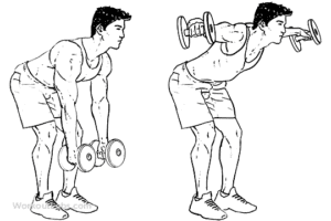 One of the beneficial free weights exercises is Bent-Over Dumbbell Lateral Raise