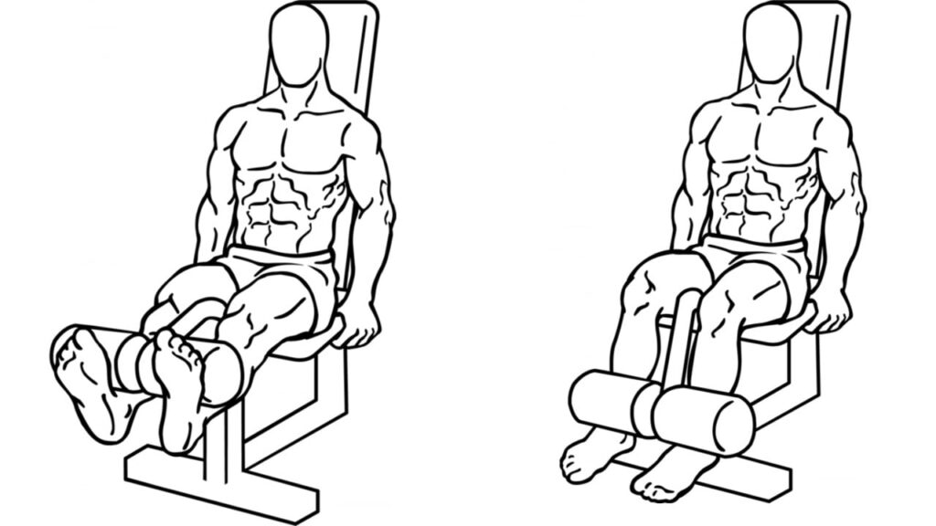 Leg-Extension - The Fitness Phantom