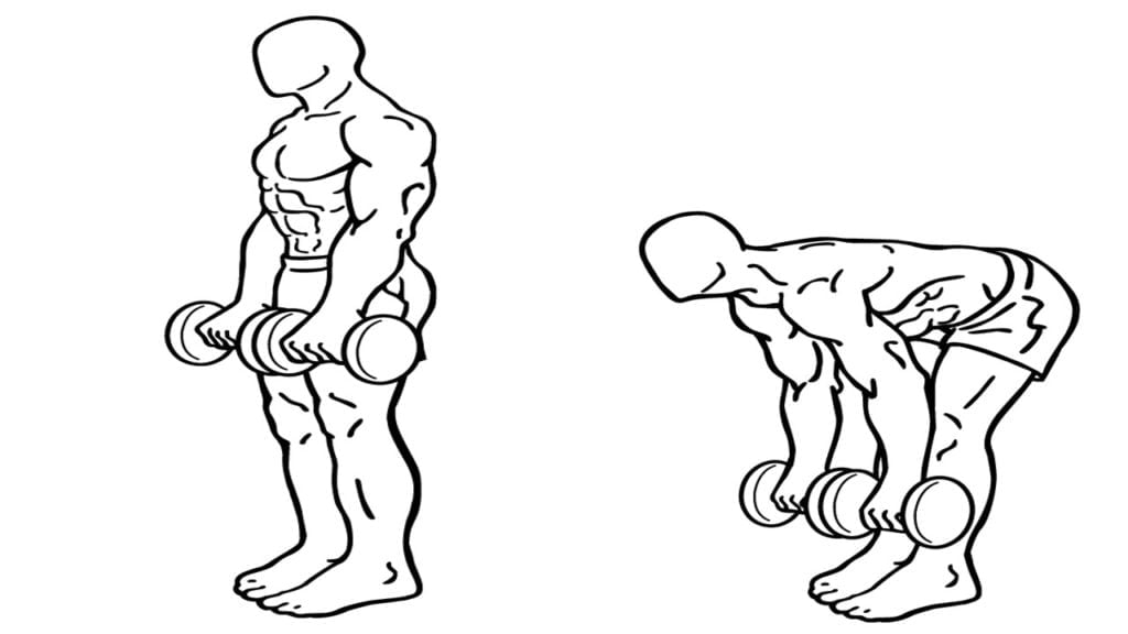 Best Back workout with dumbbells