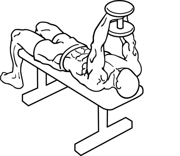 dumbbell upper body workout shoulder