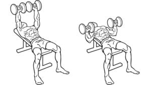flat-Dumbbell-Chest-press-1-1 flat Dumbbell Chest press 1 1