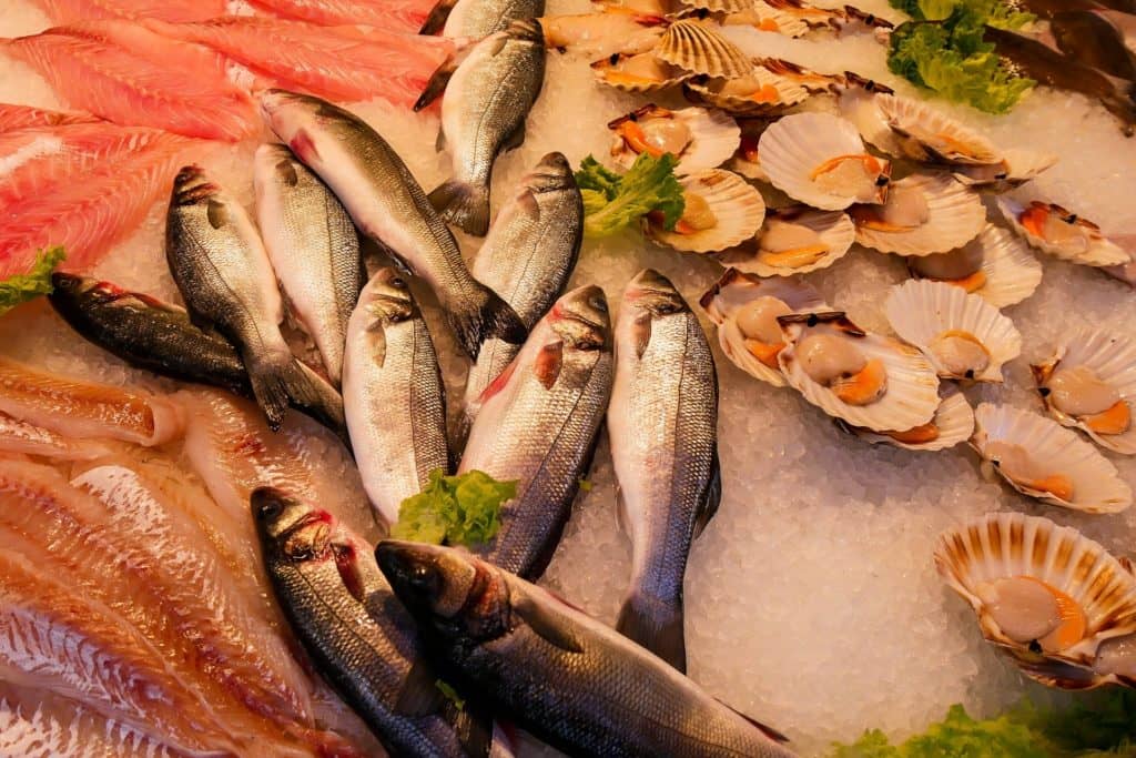 seafood are low calorie high protein foods that give you feeling of fullness and reduce hunger