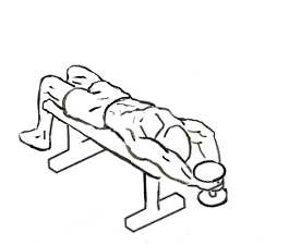 Workout with dumbbells for arms