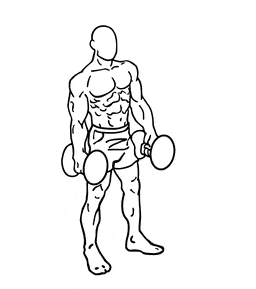 Quad Exercises with Dumbbell