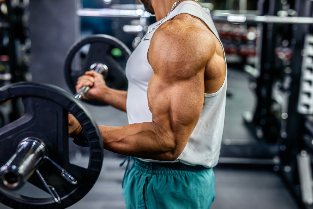 Isometric Bicep Exercises: 9 Best Static Holds for Strength & Rehab Barbell Isometric Biceps Curl Exercise