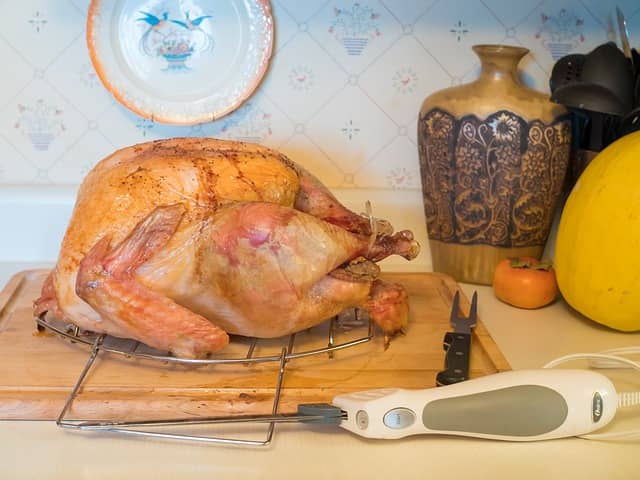 List of 20 Highest Protein Foods for Weight Gain high protein turkey for weight gain