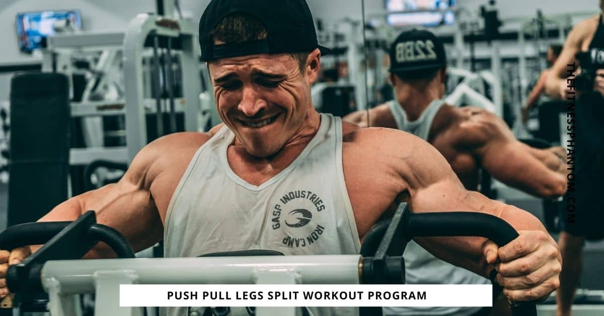 Optimize Hypertrophy with Push-Pull-Legs Training Strategy