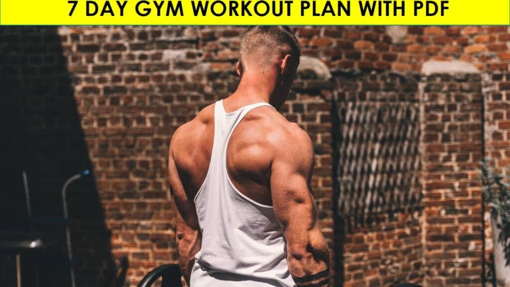 7 day gym workout plan with pdf