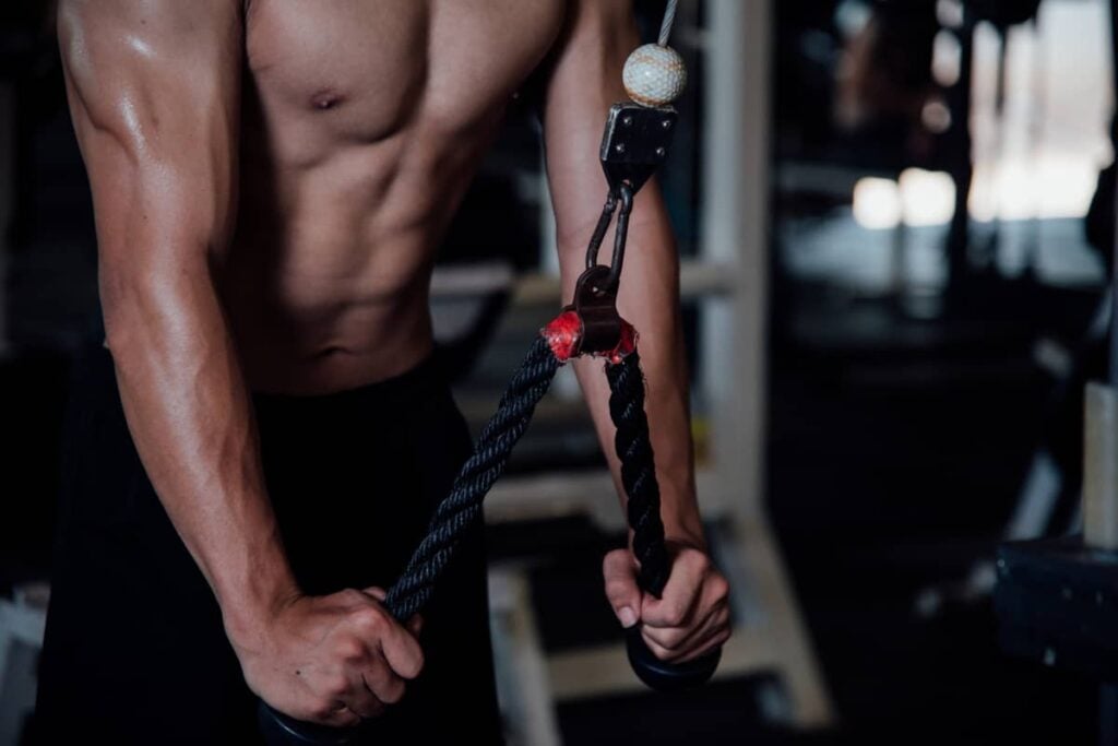 Biceps and Triceps Workout at Gym (The Ultimate Guide w/PDF) biceps and triceps workout at gym pdf