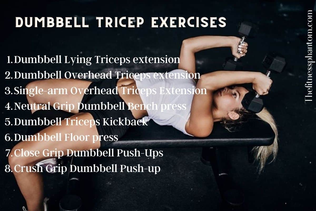 Ultimate List of Dumbbell Exercises By Muscle Group w/ PDF Dumbbell Exercises List for Triceps