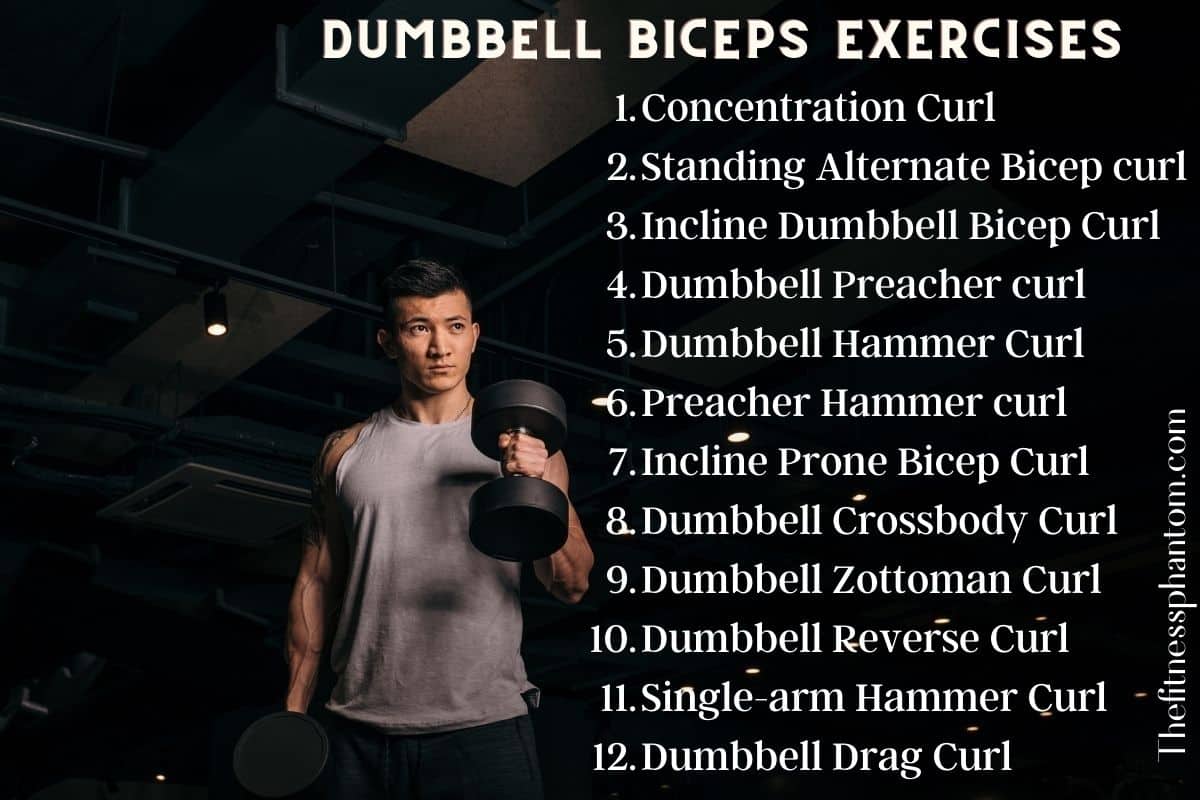 Ultimate List of Dumbbell Exercises By Muscle Group w/ PDF List Of Dumbbell Exercises For Biceps