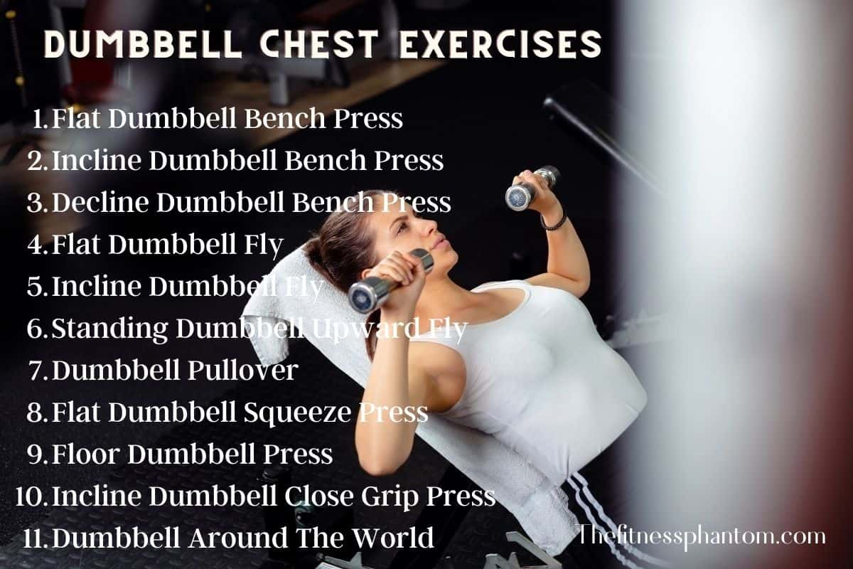 Ultimate List of Dumbbell Exercises By Muscle Group w/ PDF Dumbbell Exercises List for Chest