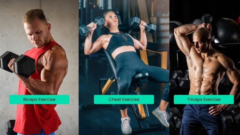 Dumbbell Chest & Arm Workout: 14 Best Exercises to Gain Mass