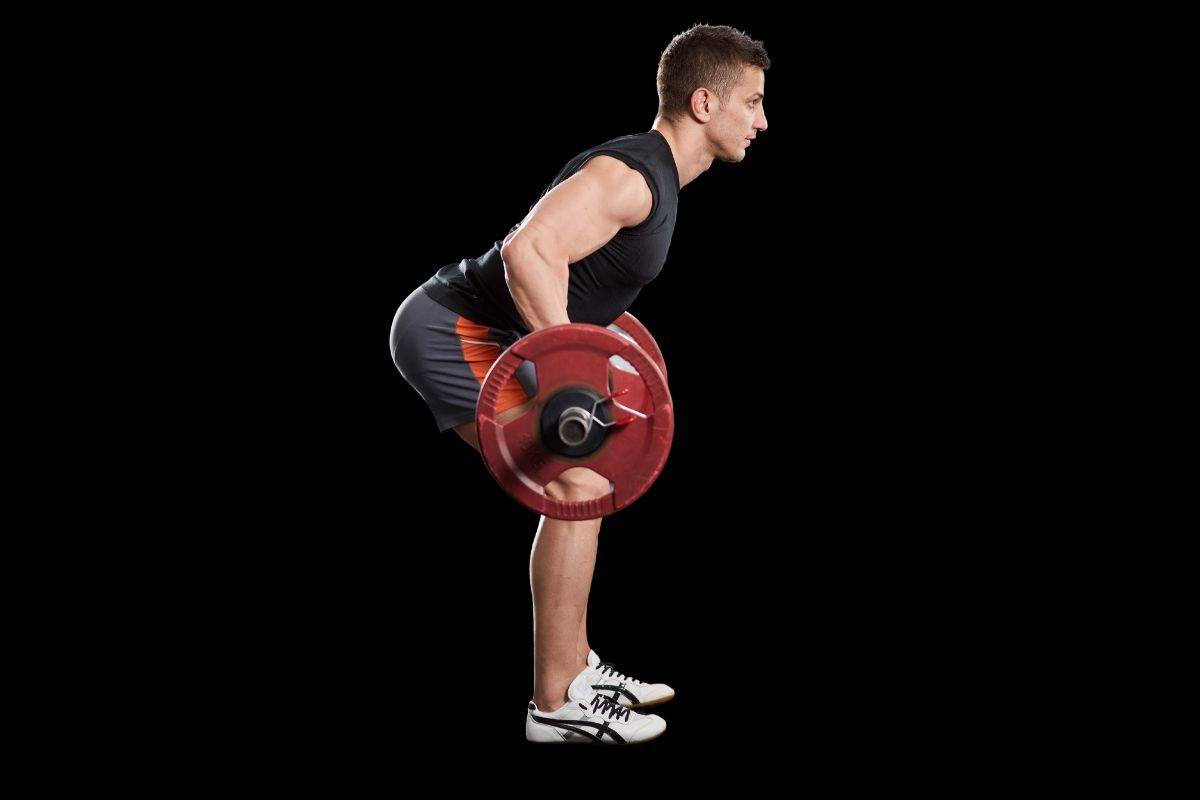 6 Best Barbell Lat Exercises & Workouts for Building Muscle lat exercises with barbell