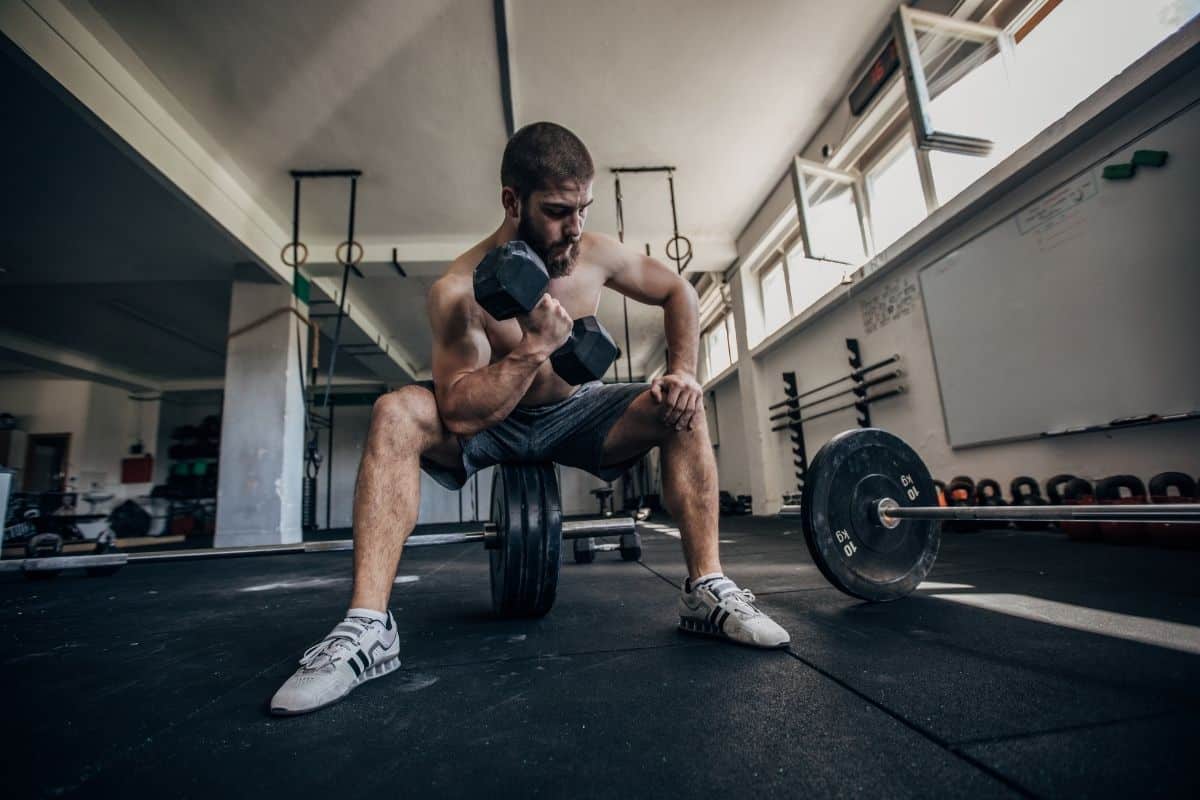 Dumbbell Pull Workout: 20 Best Exercises to do on Pull Day pull exercises with dumbbells