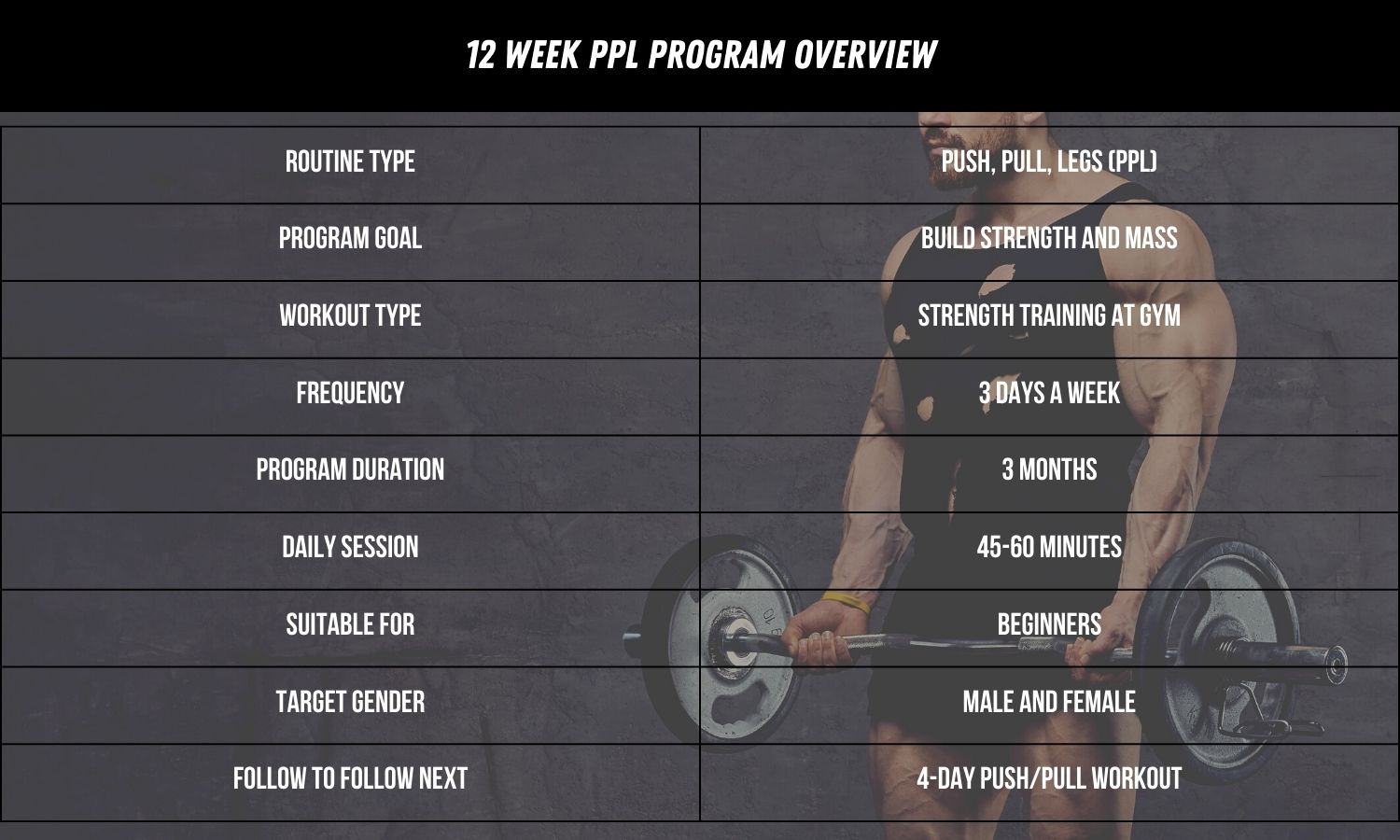 Push Pull Legs 12 Week Program For Beginners With PDF