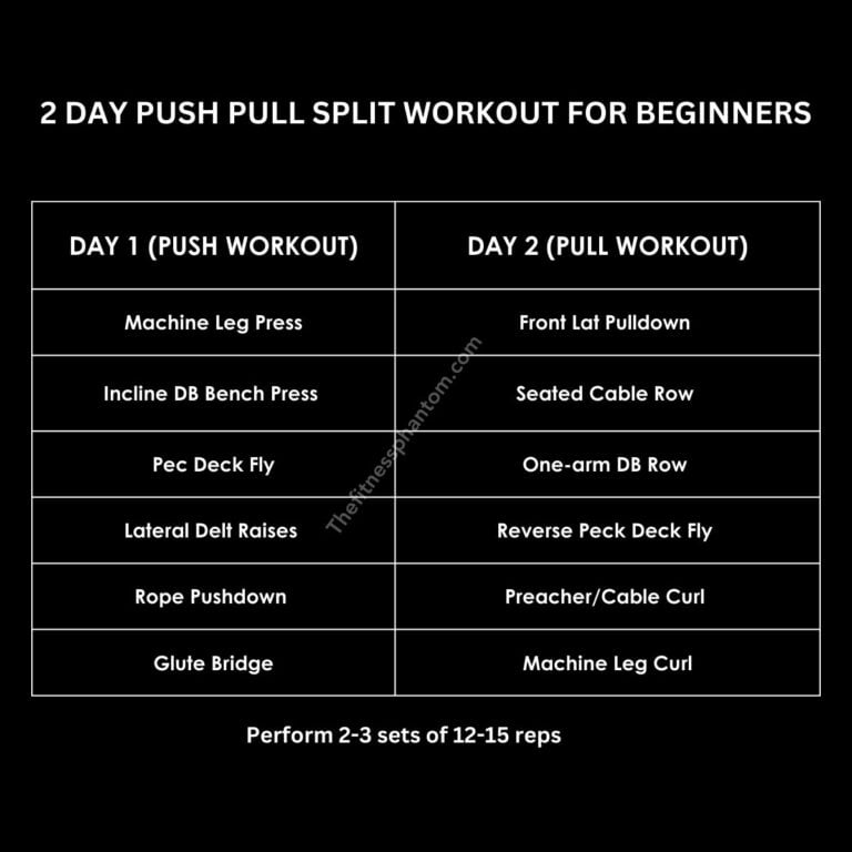 2 Day Workout Split for Busy People (Download PDF)
