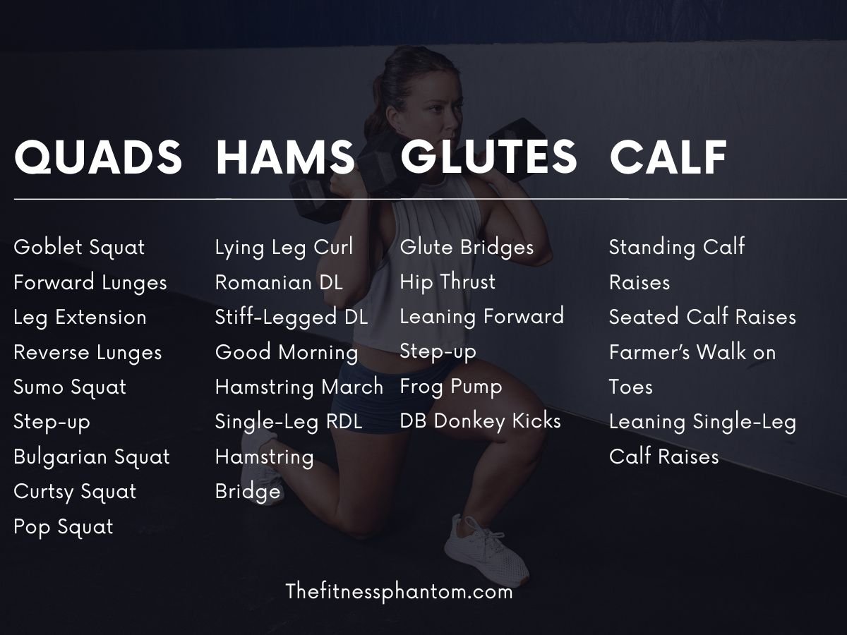 Ultimate List of Dumbbell Exercises By Muscle Group w/ PDF dumbbell workout list for leg muscles