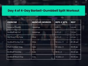 4 Day Dumbbell and Barbell Workout Routine w/ PDF - The Fitness Phantom