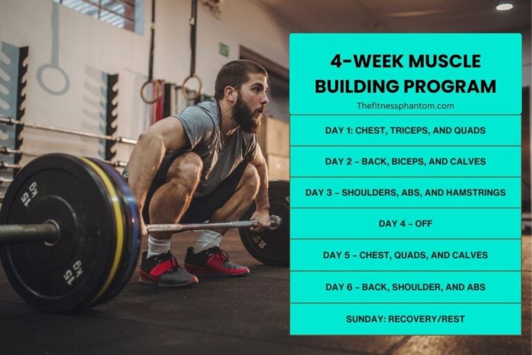 Best 4-Week Muscle Gain Workout Plan (Free PDF)