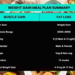 Weight Gain Meal Plan Summary