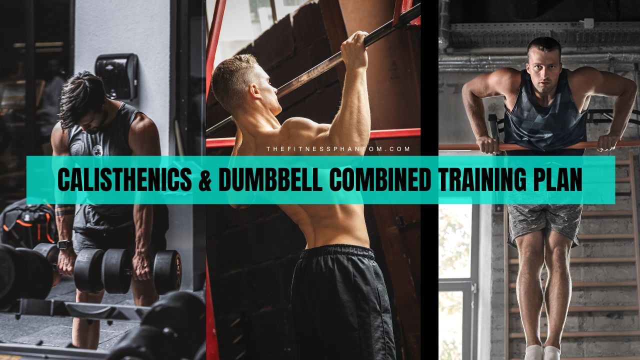 Dumbbell and Calisthenics Workout Plan
