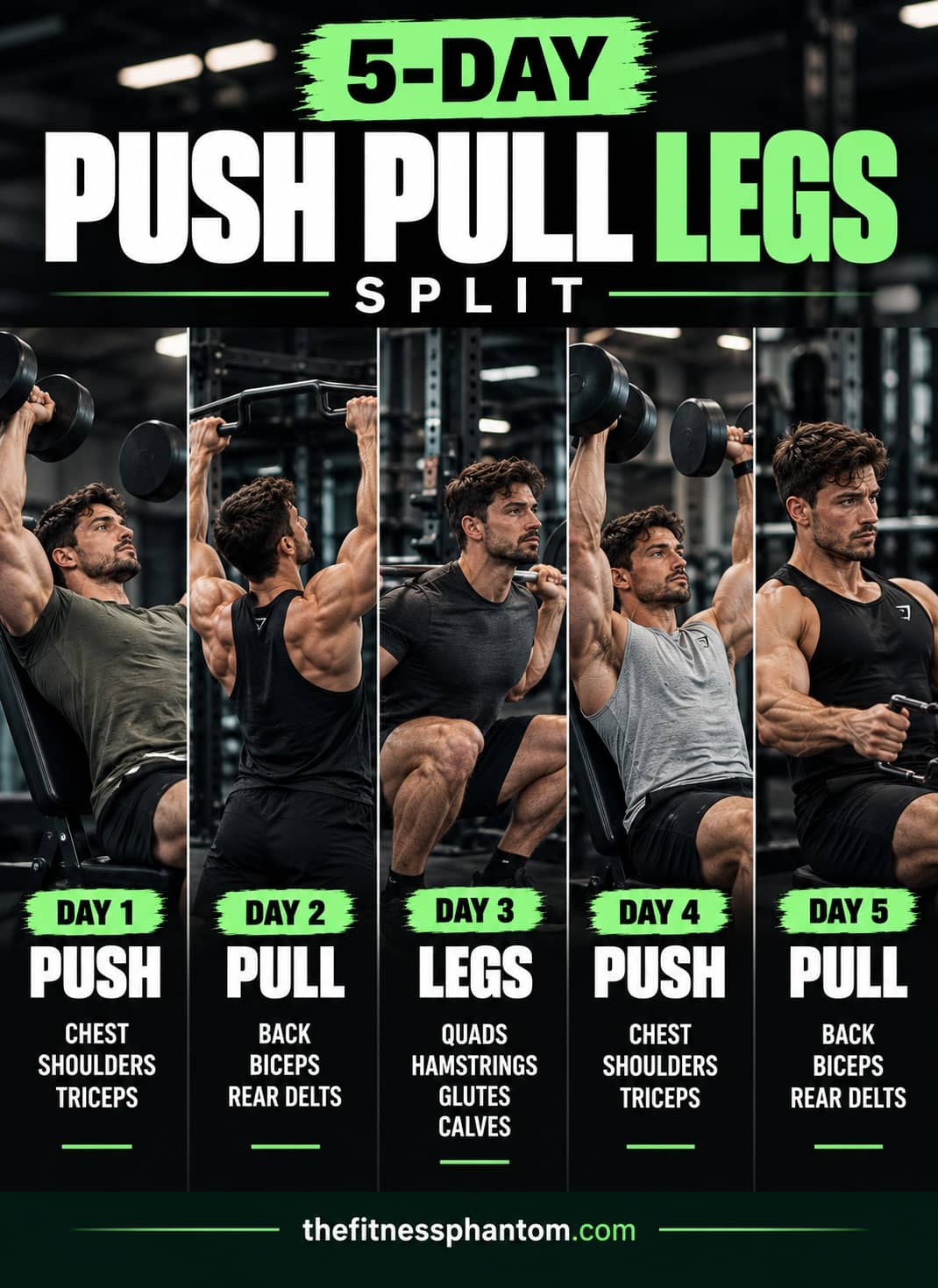 5-Day Push Pull Legs Split Workout