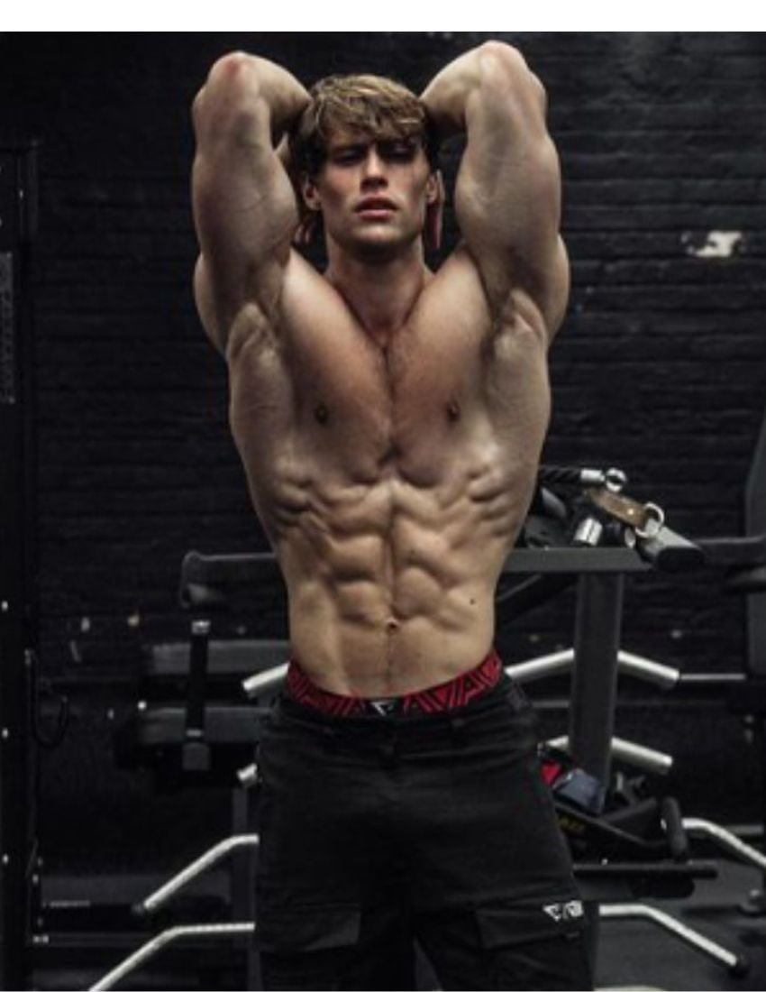 David Laid Workout Plan