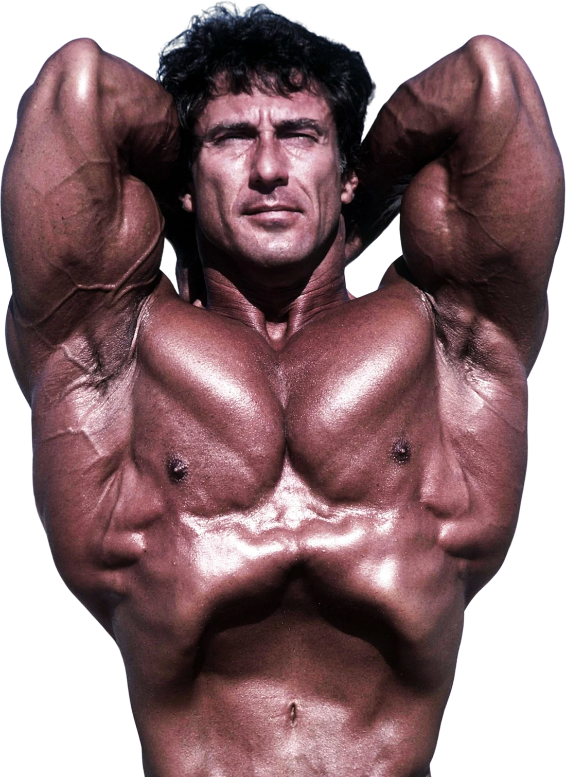 Frank Zane Workout Routine